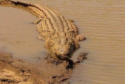 Half Day Local Cuisine, Wine & Wildlife Experience Half Day Local Cuisine, Wine & Wildlife Experience