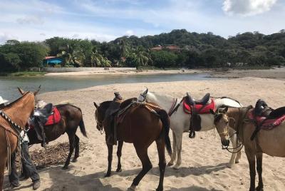 Horseback riding tour in San juan del Sur; Nicaragua