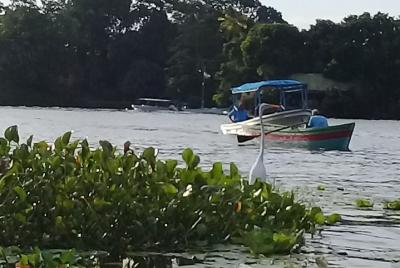 Sightseeingss in Granada Things to do in  Granada 182995