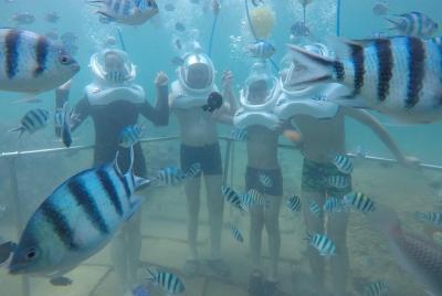 Full-day Cham Islands Cruise from Hoi An with Underwater Walking Excursion Full-day Cham Islands Cruise from Hoi An with Underwater Walking Excursion