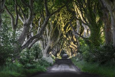 Game of Thrones and Giant Game of Thrones and Giant's Causeway Full-Day Tour from Belfast