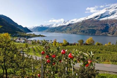 Rosendal & Hardangerfjord Cruise - Self guided day tour Rosendal & Hardangerfjord Cruise - Self guided day tour