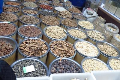 Half-day Xi Half-day Xi'an Regimen and Tai Chi Tour