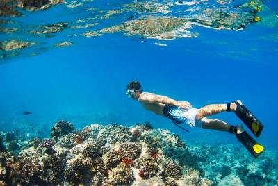 Huatulco National Park Sightseeing Cruise with Snorkeling in Magu Huatulco National Park Sightseeing Cruise with Snorkeling in Magu