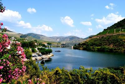 Douro Valley Small-Group Tour with Wine Tasting, Lunch and Option Douro Valley Small-Group Tour with Wine Tasting, Lunch and Option