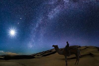 (Private Tour) Night Desert Safari, Camel Ride, Dune Bashing. (Private Tour) Night Desert Safari, Camel Ride, Dune Bashing.