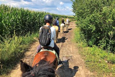 Horseback Riding Tour In Brasov - Ride Horses Through Fields, For Horseback Riding Tour In Brasov - Ride Horses Through Fields, For