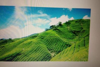Kerala Honeymoon Package Kerala Honeymoon Package