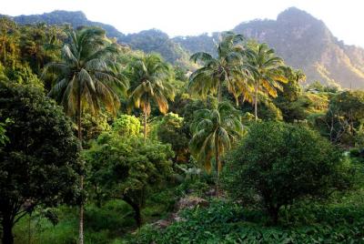 Vermont Nature Trail with Topdawg Taxi and Tours Vermont Nature Trail with Topdawg Taxi and Tours