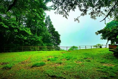 2-Day Brownsberg Tour with Accommodation