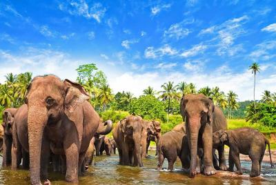 Sightseeingss in Nuwara Eliya Things to do in Nuwara Eliya 181208