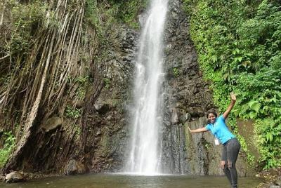 Half-Day Shared Group Tour in Kingstown and Dark View Falls Half-Day Shared Group Tour in Kingstown and Dark View Falls