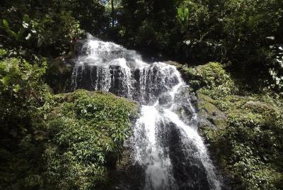 Brownsberg and Stuwmeer