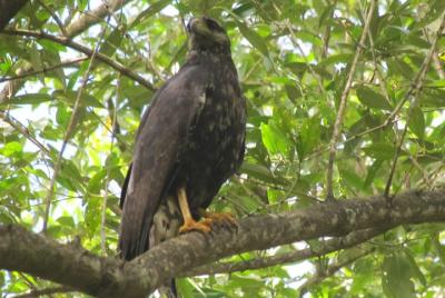 ‘Plantaadje’ Wetland Bicycle Tour