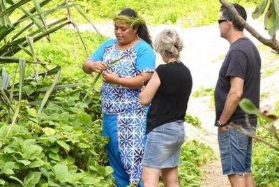 Top 10 Highlights of Tongatapu with lunch - Max 14 people - Shore Excursion