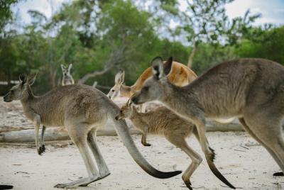 Visit Walkabout Wildlife Sanctuary Visit Walkabout Wildlife Sanctuary