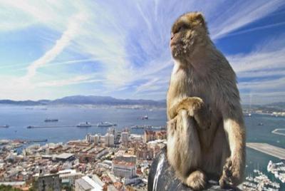 Gibraltar Full Day Tour from Seville Gibraltar Full Day Tour from Seville