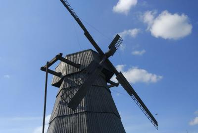 Dudutki museum - Individual guided tour