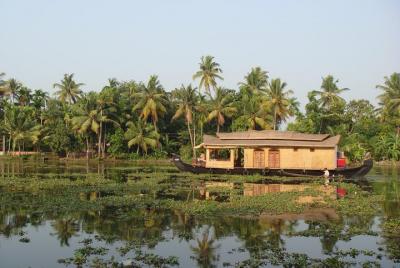 Backwaters of Allepey Tour from Cochin Backwaters of Allepey Tour from Cochin