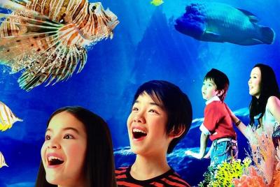 SEA LIFE Bangkok Ocean World Ticket