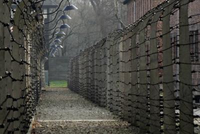 Auschwitz & Birkenau: Live-Guided tour with transportation and ho Auschwitz & Birkenau: Live-Guided tour with transportation and ho