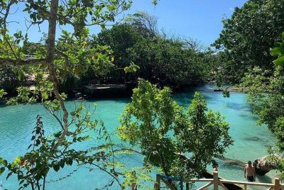 Port Vila Full Day Tour - Experience the Real Vanuatu Port Vila Full Day Tour - Experience the Real Vanuatu