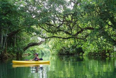 Small Group Kayaking Tour on the Rentapao River from Port Vila Small Group Kayaking Tour on the Rentapao River from Port Vila