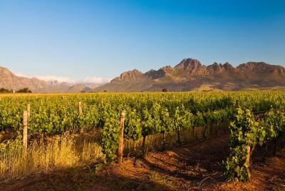 Stellenbosch Wine Tour from Cape Town Stellenbosch Wine Tour from Cape Town