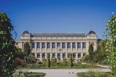 Playful walk around the Latin Quarter
