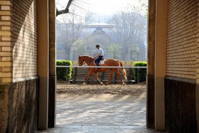 The Cavalry of the Republican Guard - Quartier Célestins