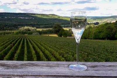 Private Day Trip to Champagne Region with Lunch