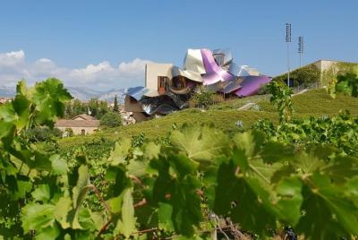 La Rioja winery visit with tasting and traditional lunch in small group tour La Rioja winery visit with tasting and traditional lunch in small group tour