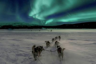 Hunting Northern Lights with Husky Hunting Northern Lights with Husky