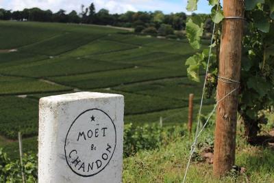 Paris SuperSaver: Champagne Wine Tour and Paris Segway Tour