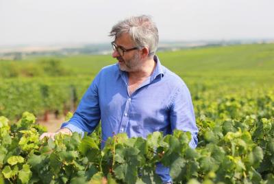 From Paris: VIP Champagne Private Day Trip guided by Local Vineyard Owner