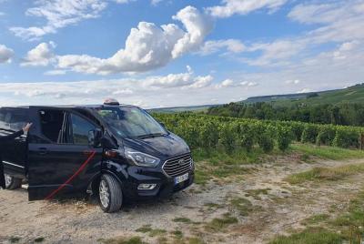Private Day Trip from Paris to Reims and the Champagne Region