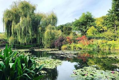 Visit Giverny with guide-driver speaking Portuguese