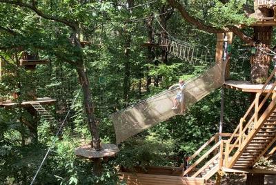Tree Top Adventure in Forest of Meudon  Tree Top Adventure in Forest of Meudon