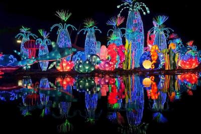 Glow Garden Admission Tickets
