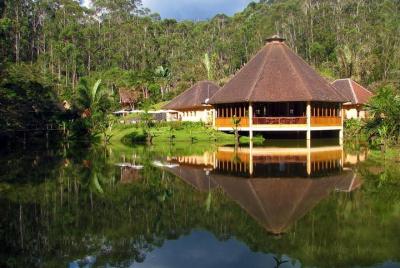 Full-Day Andasibe-ANALAMAZAOTRA Special Reserve Private Tour from Full-Day Andasibe-ANALAMAZAOTRA Special Reserve Private Tour from