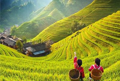 3-Day Private Tour from Beijing by Air: Guilin, Longji Rice Terra 3-Day Private Tour from Beijing by Air: Guilin, Longji Rice Terra