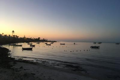 Horse ride at sunrise