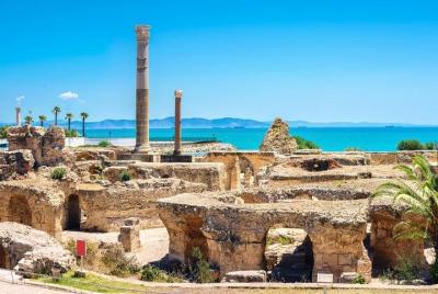 Tunis Full-Day Group Tour: Carthage, Sidi Bou Said, Bardo Museum 