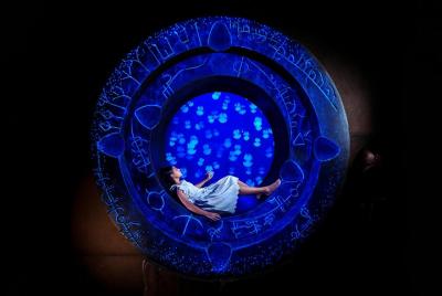 Skip the Line: Lost Chambers Entry at Atlantis The Palm Ticket Skip the Line: Lost Chambers Entry at Atlantis The Palm Ticket
