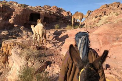 Bedouin Experience Petra Bedouin Experience Petra