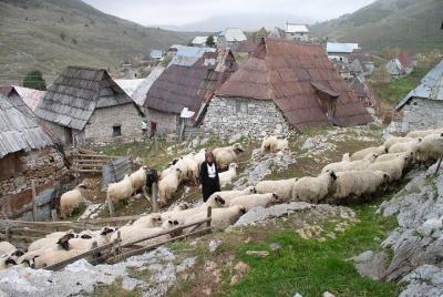Lukomir Highland Village Tour and Hike from Sarajevo