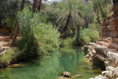 Half Day trip To Paradise Valley From Agadir Half Day trip To Paradise Valley From Agadir