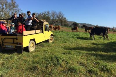 Algarve Jeep Safari - Half Day Trip Afternoon