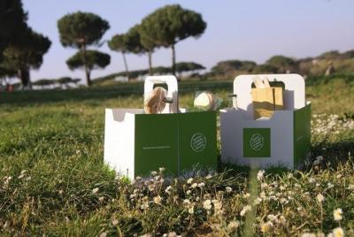 Barefoot in the Park: Your Ultimate Organic Picnic in Rome