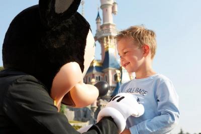 Private Transfer: Disneyland Resort Paris